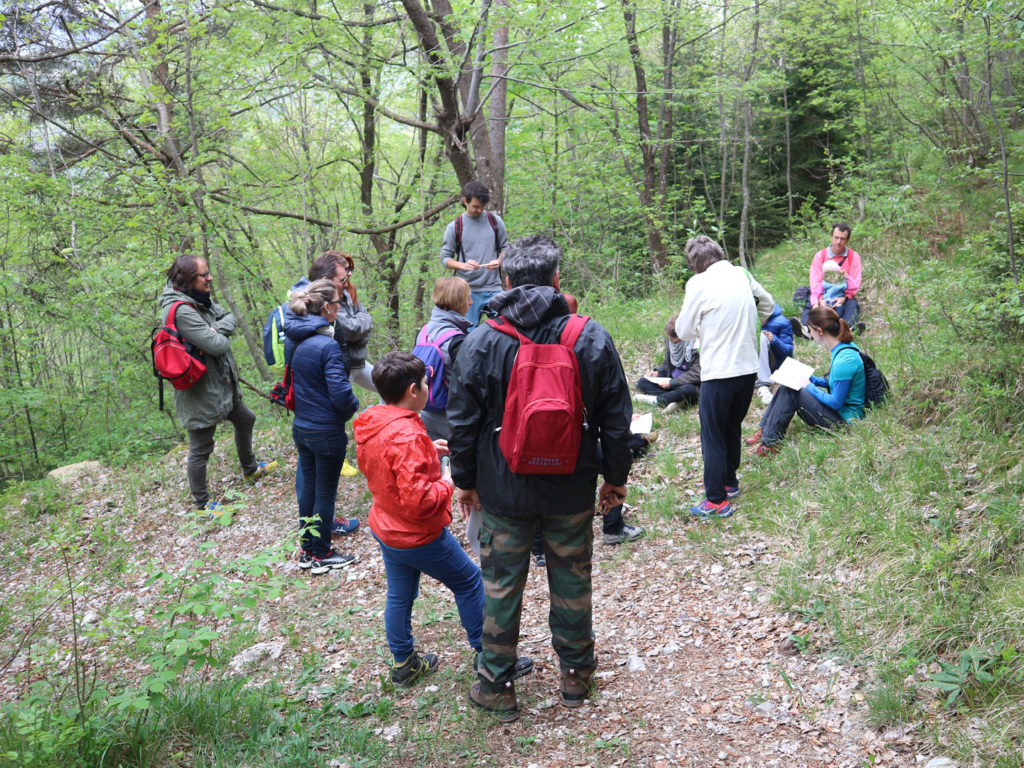 Laboratori naturalistici e di ed. ambientale
