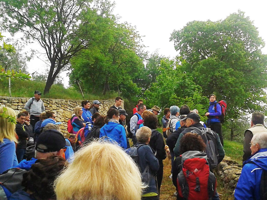 Trekking ed uscite sul territorio